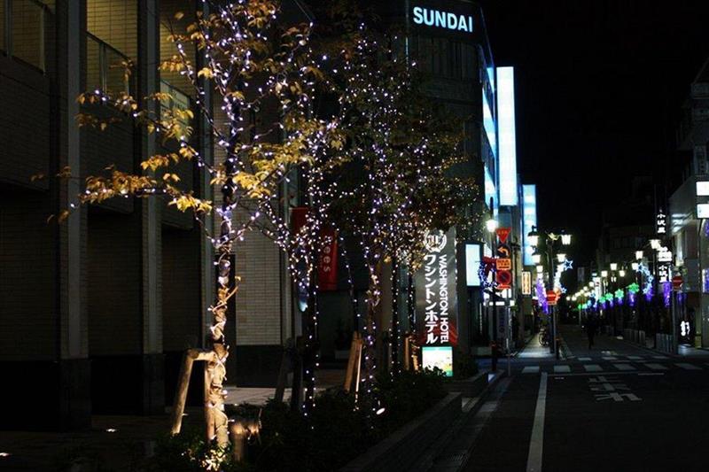 Tachikawa Washington Hotel المظهر الخارجي الصورة